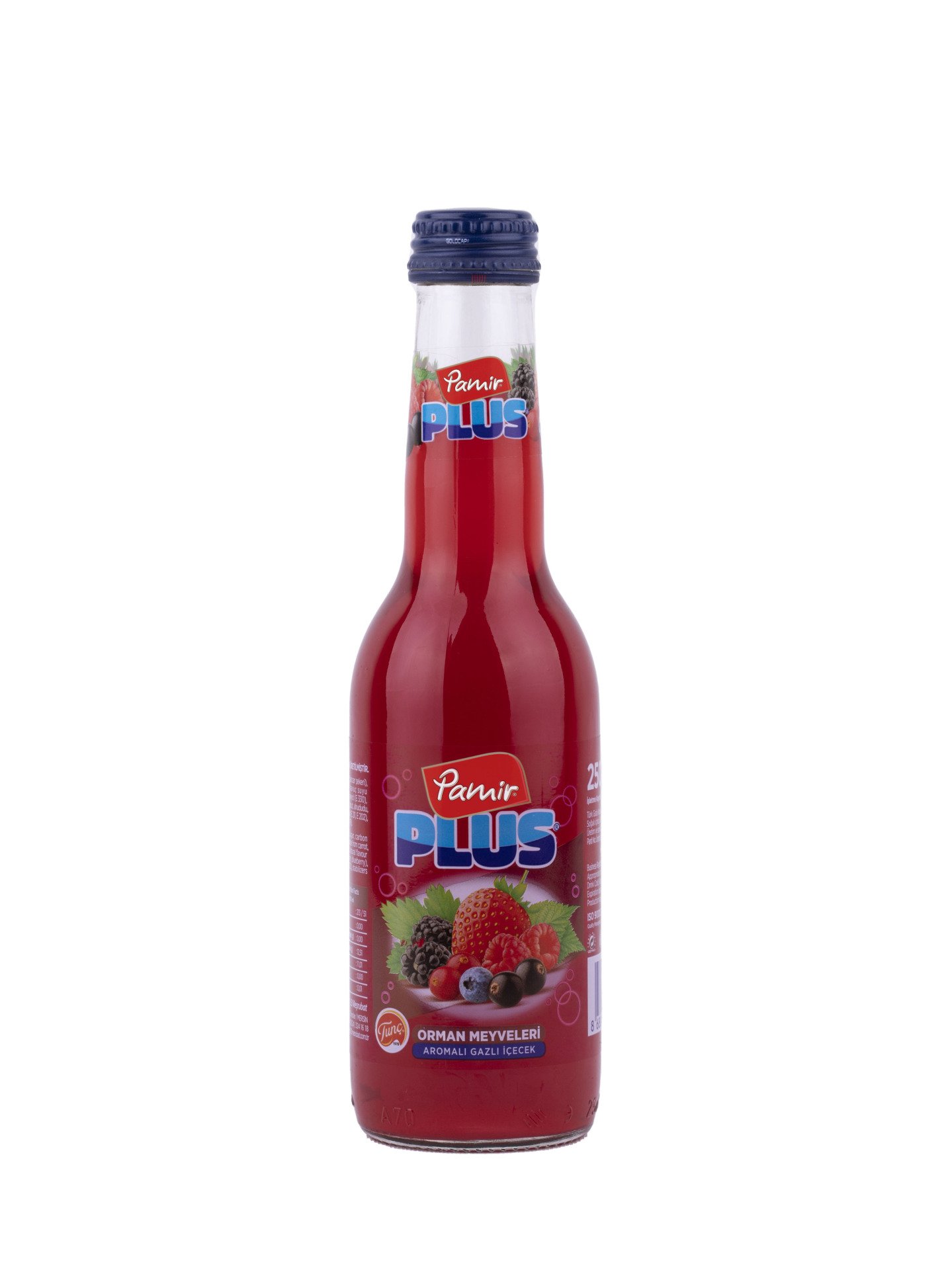 Pamir Plus Orman Meyveleri 250 ml. 24 Adet CAM ŞİŞE